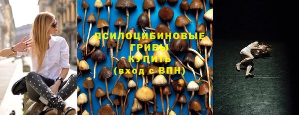 спиды Алексин