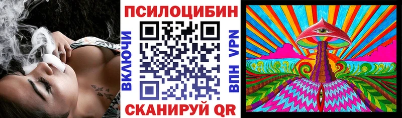 купить наркоту  Куровское  Псилоцибиновые грибы GOLDEN TEACHER 